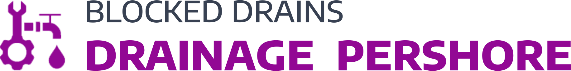 website logo